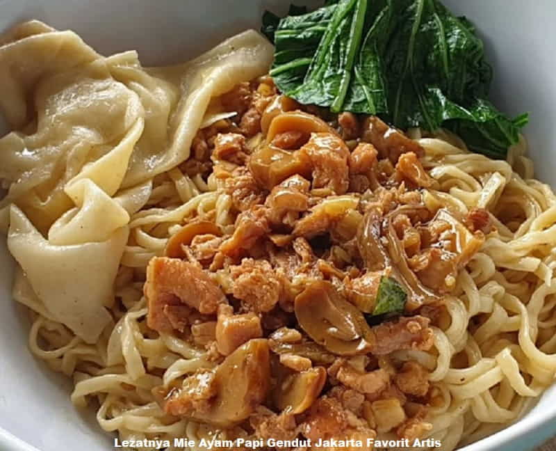 Lezatnya Mie Ayam Papi Gendut Jakarta Favorit Artis